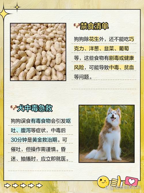 狗狗为什么会吃花生