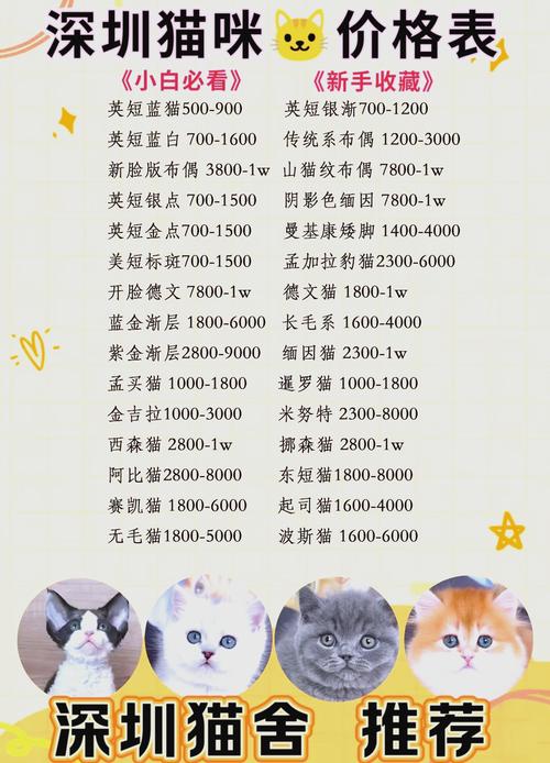 哪些品种的猫咪费用便宜又好养?