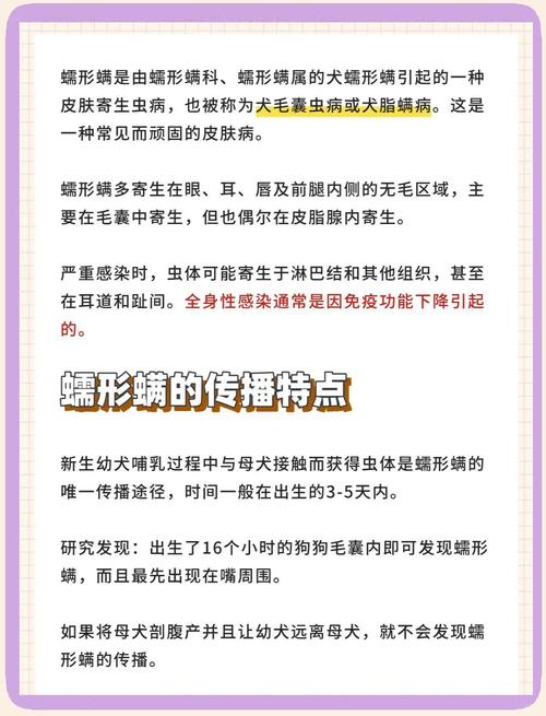 狗的蠕形螨会传染人吗