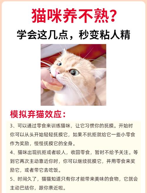 猫不粘人不让抱怎么办