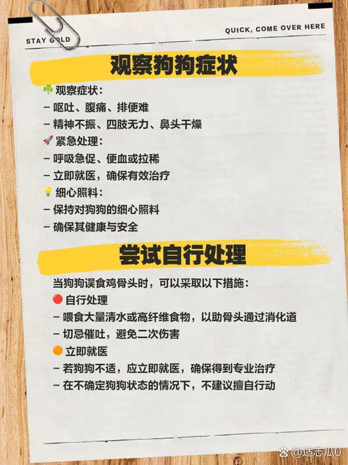 狗狗吃骨头不消化症状