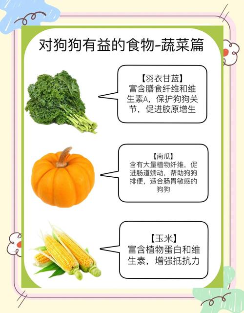狗狗可以吃的蔬菜有哪些