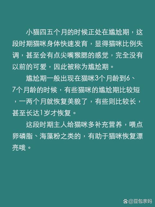 猫真的存在尴尬期一说吗?