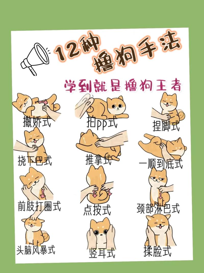 教狗狗拿东西怎么训练的