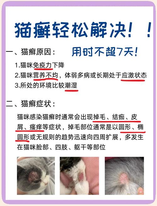 小猫三个月身上长猫癣,三个月幼猫的猫癣是怎么治好