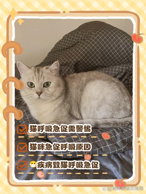 猫咪喘气肚子一抽一抽的