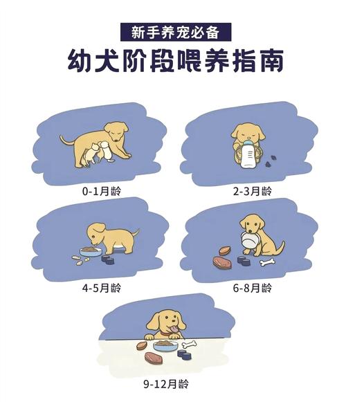 狗狗几个月可以断奶啊?