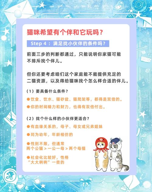 如果家里有多只猫咪,怎么办?