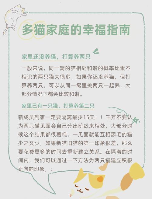 一只猫在家会不会孤独需要找个伴吗