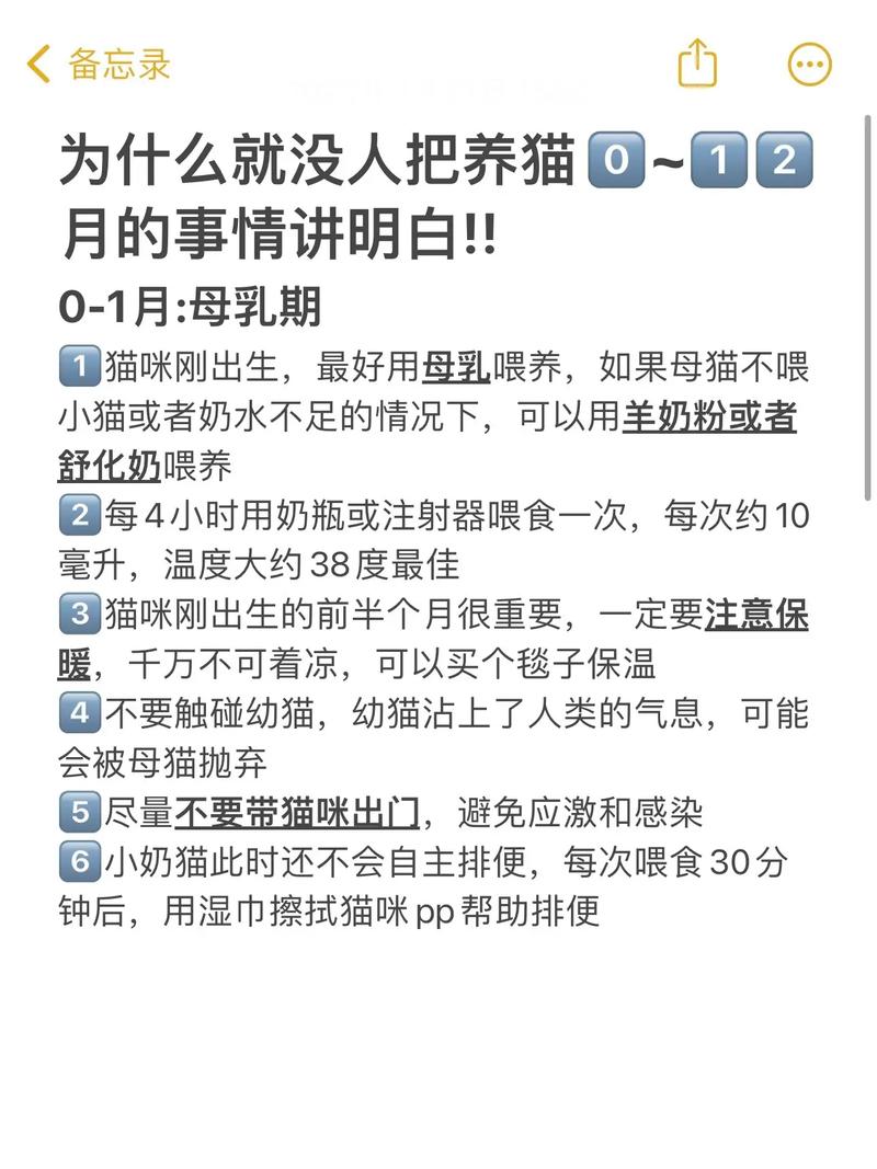 刚满月的猫多久喂一次比较好呢