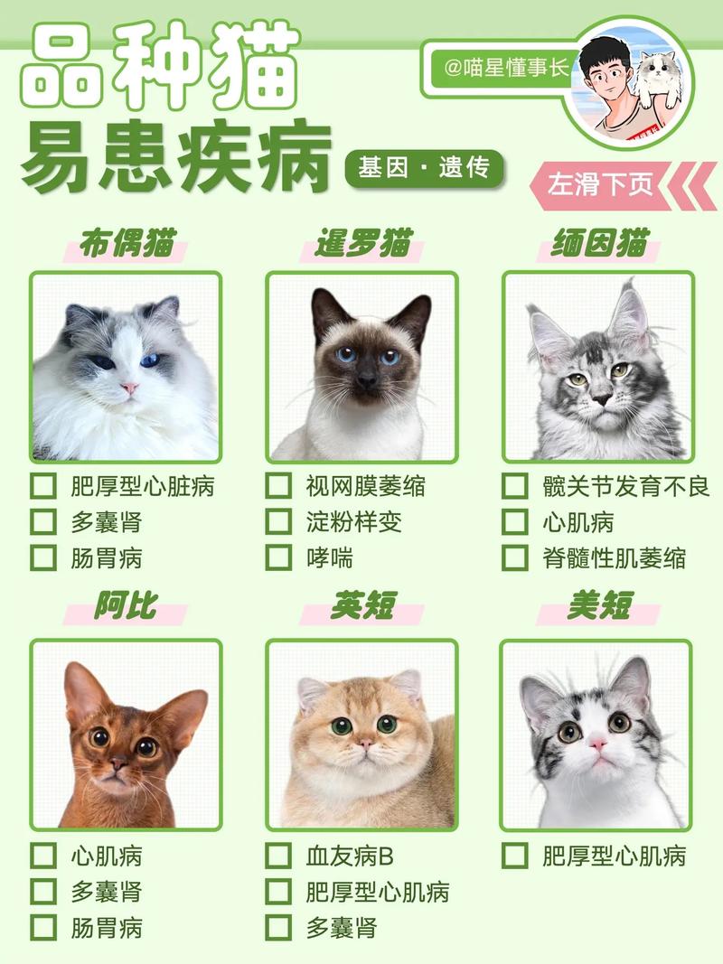 养狗养猫会得什么病?