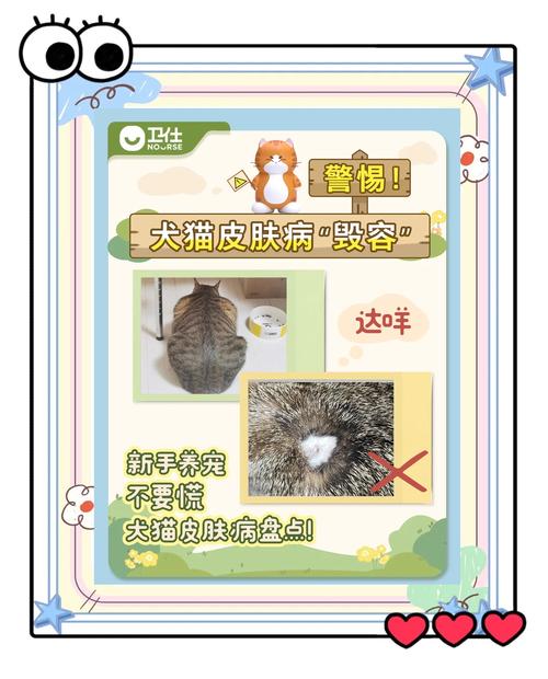 猫猫容易得的皮肤病有哪些?