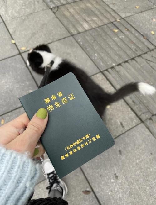 动物免疫证怎么办理