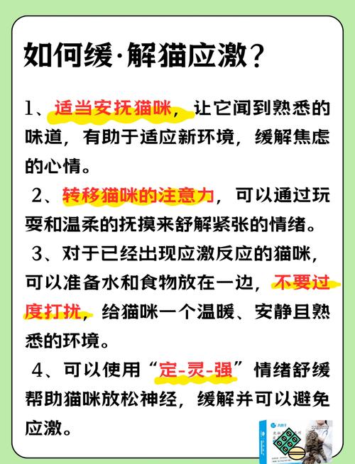 猫应激反应怎么处理