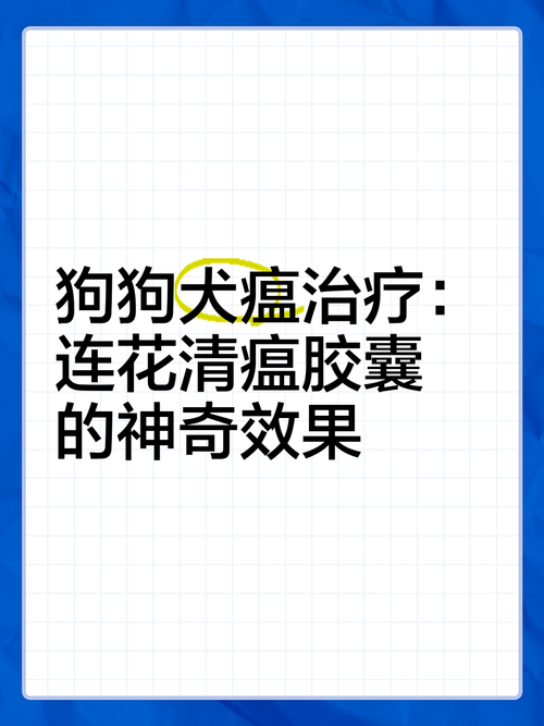 我家狗狗得犬瘟了请问大神们吃什么药好?