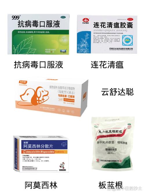 狗狗犬瘟吃什么药