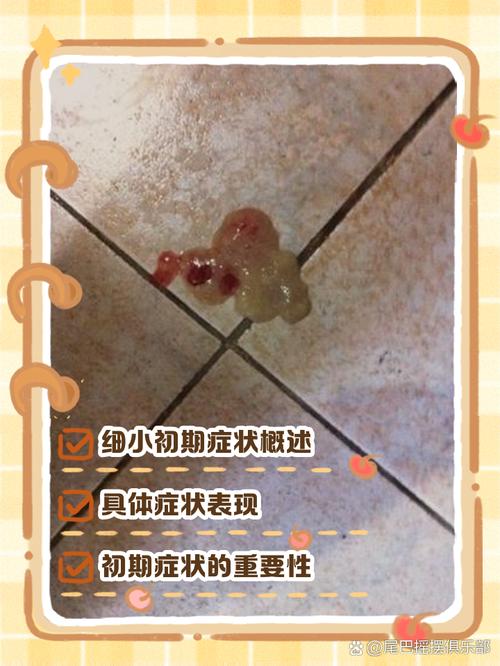 狗狗得细小的最初症状是啥