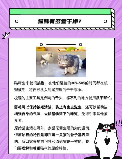 猫咪为什么那么爱干净?