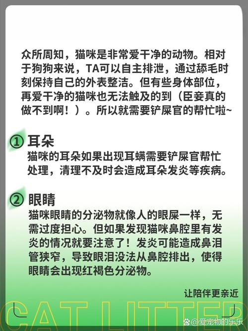 猫猫为什么这么爱干净