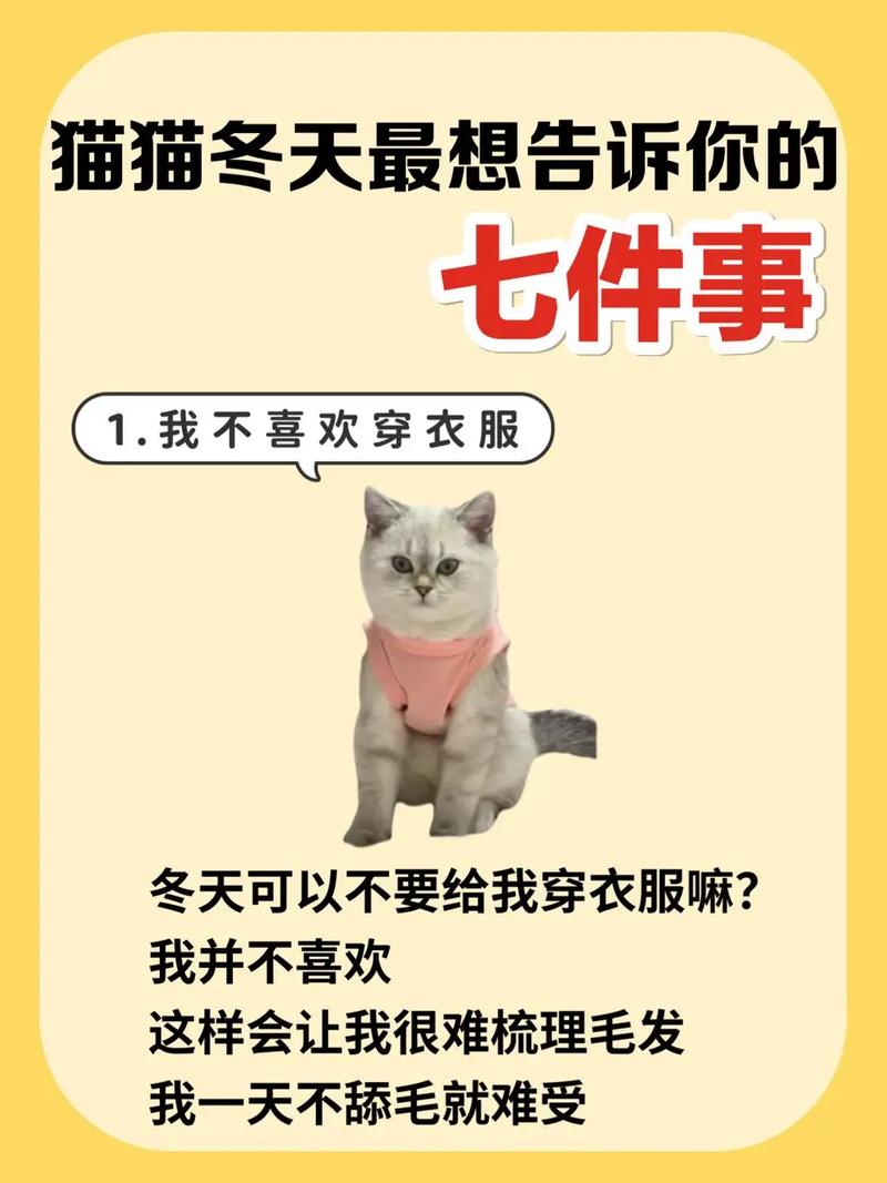 猫咪为什么不要猫衣服