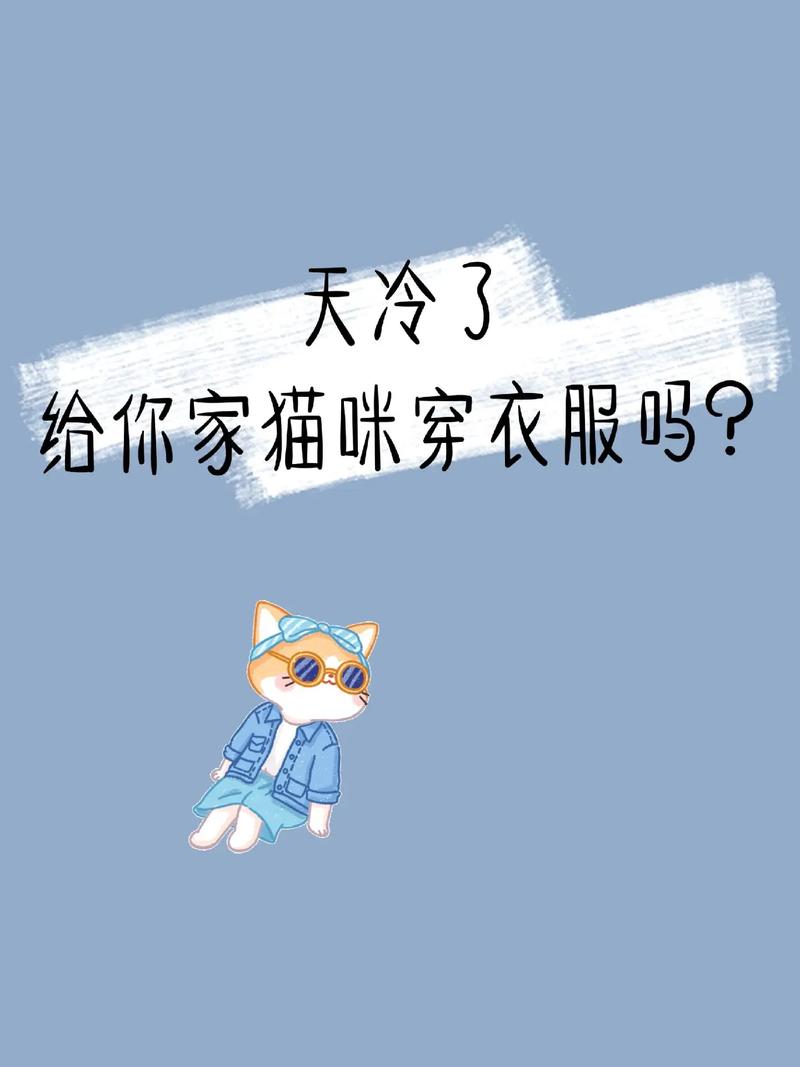 天气寒冷,猫咪到底怕冷吗?有必要穿衣服吗?
