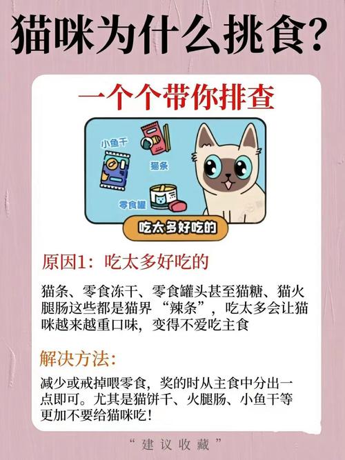 猫挑食不怎么吃东西怎么办