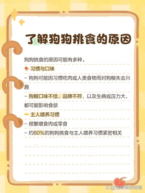 狗狗现在只吃肉不吃狗粮怎么办