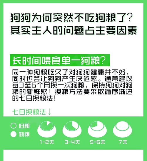 小狗不吃狗粮怎么办