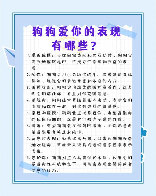 爱你的狗狗,才会有这10种表现