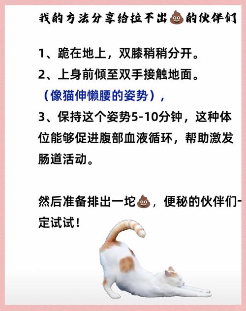 小猫乱拉屎拉尿怎么办呢