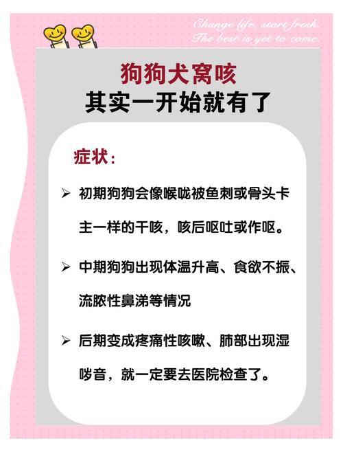 狗咳嗽但没炎症打疫苗