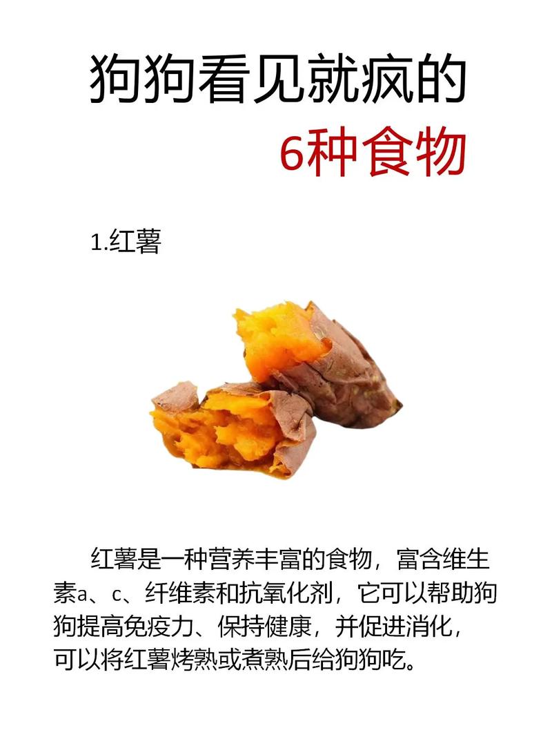 狗狗多大才能吃红薯干