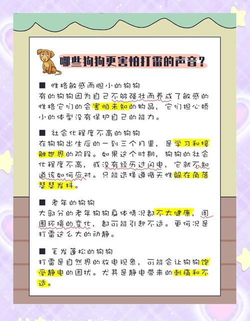 狗狗怕打雷怎么安抚