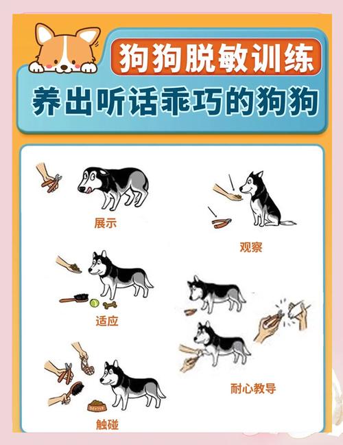 什么情况下会让狗狗感到害怕?该怎么安抚它?