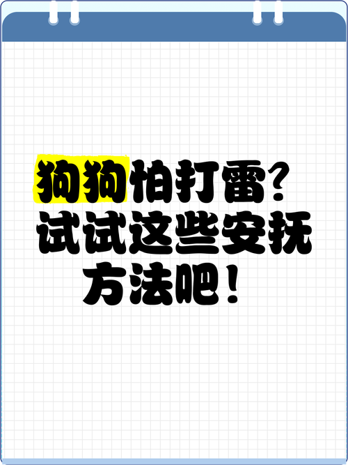 狗狗受到惊吓,主人该怎样安抚?