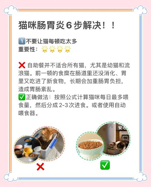 猫咪肠胃炎会自愈吗