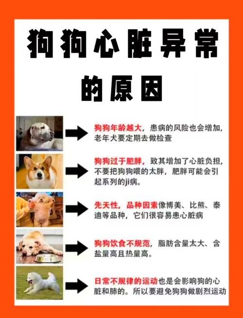 狗心脏病症状吃什么药