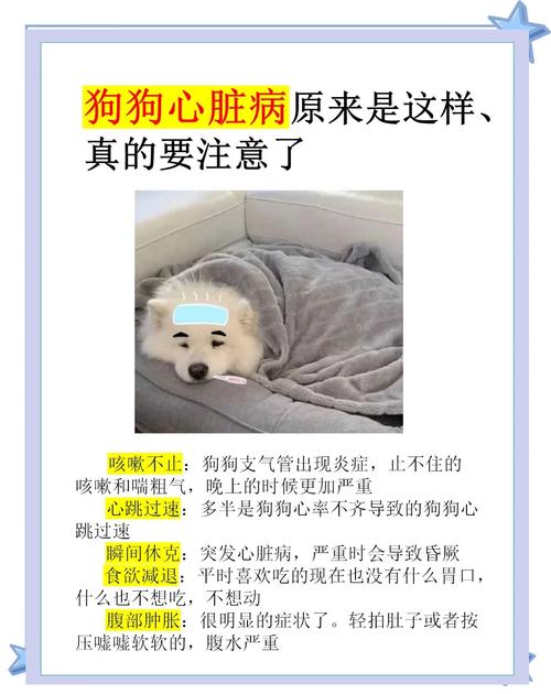 狗狗心脏病突发还能救活吗