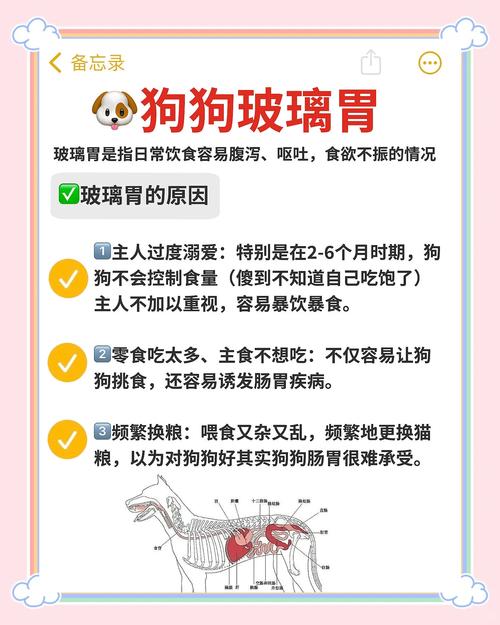 狗狗得了肠胃炎为什么不能喝水