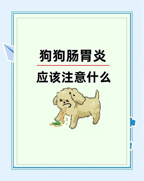 狗狗急性肠胃炎能喝水吗(狗肠胃炎可以喝水吗)