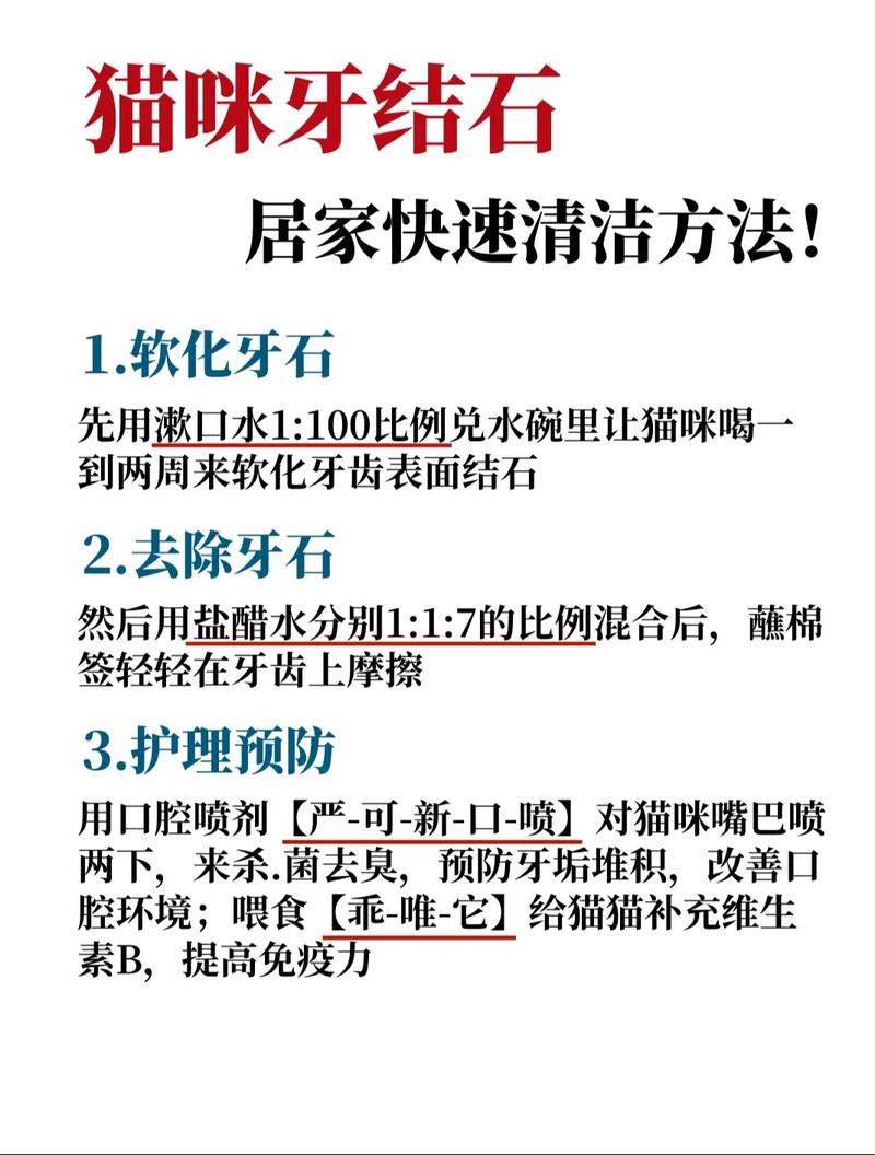 猫咪的牙结石可以抠下来吗