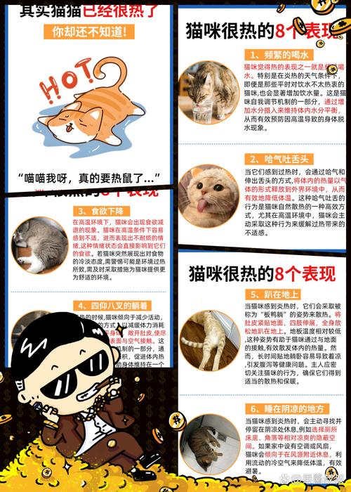 猫咪能耐多少度的低温?