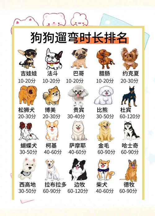 狗狗饭后多久可以运动?