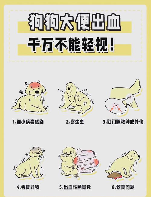 狗子便血