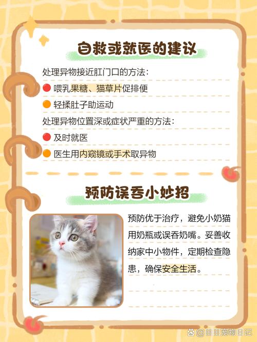 猫咪能吃鲜奶酪吗为什么