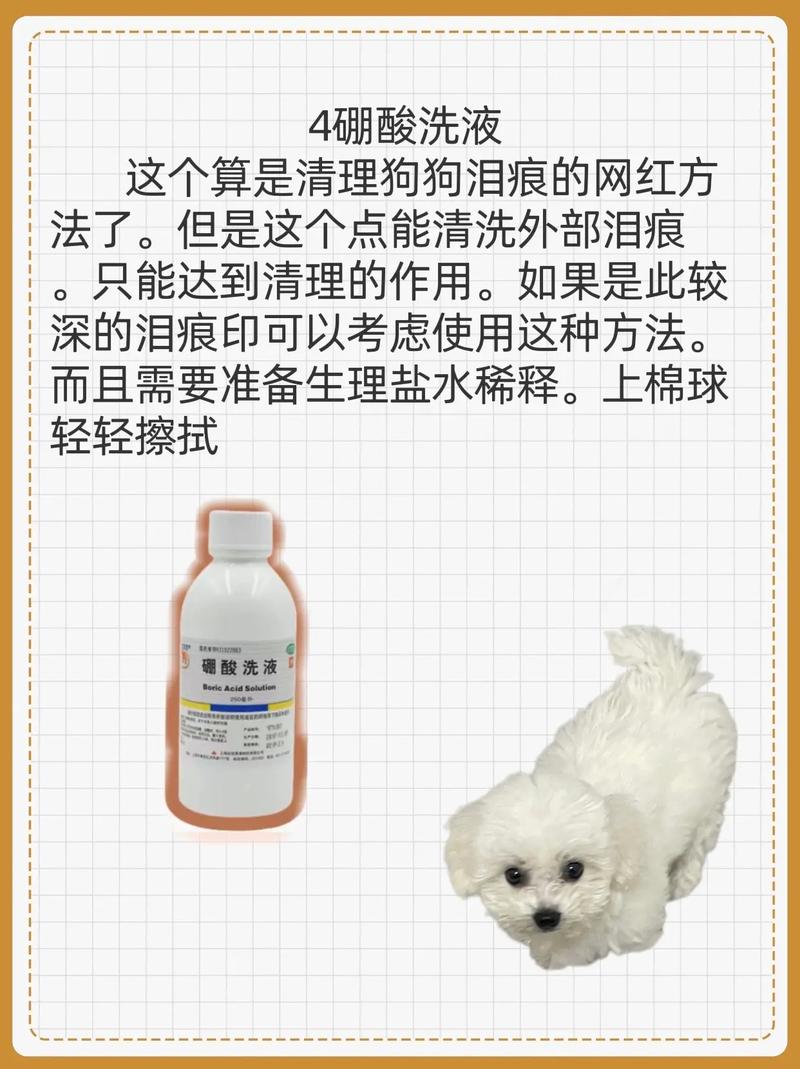 氯霉素滴眼液狗能用吗,狗能滴氯霉素眼药水吗