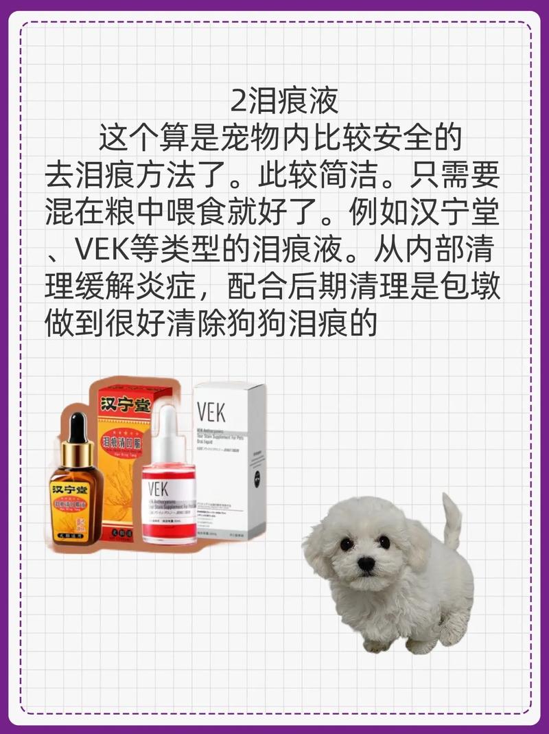 狗狗能点氯霉素眼药水吗?