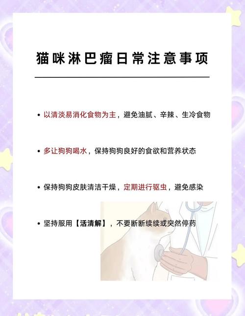 猫咪患有淋巴结肿瘤的早期症状有哪些?