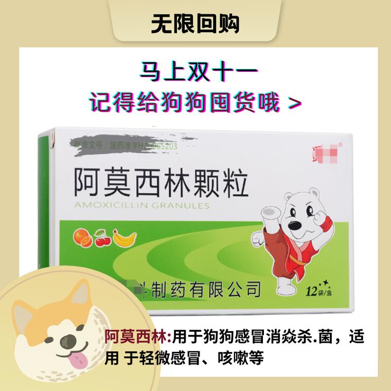 泰迪吃阿莫西林每次吃多少