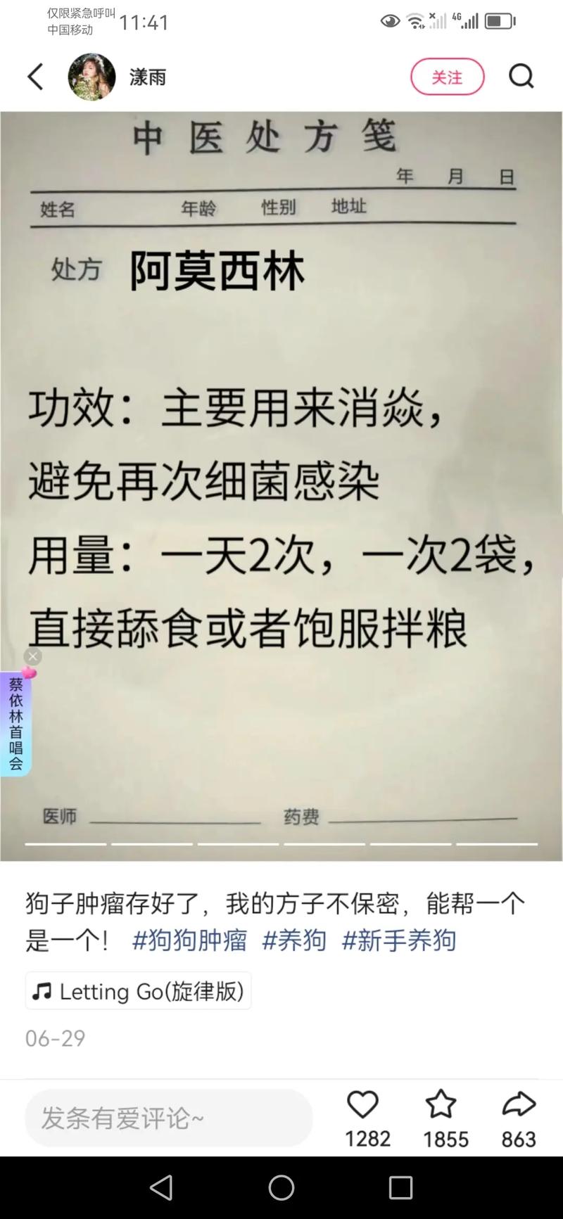 阿莫西林狗狗的用量